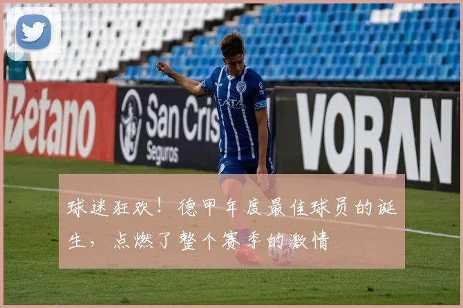 球迷狂欢!德甲年度最佳球员的诞生,点燃了整个赛季的激情