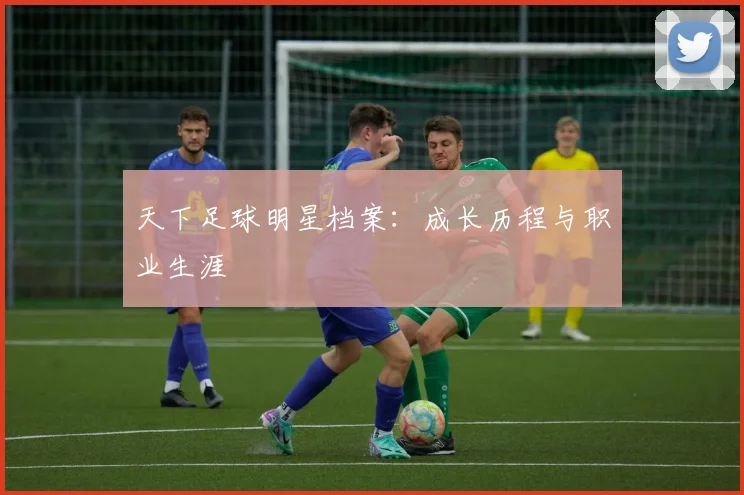 天下足球明星档案：成长历程与职业生涯